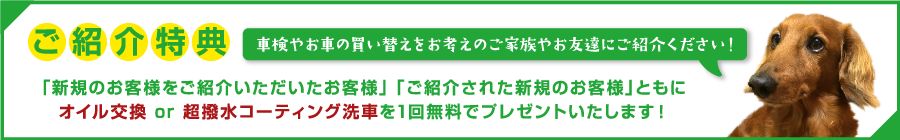 ご紹介特典 オイル交換or超撥水コーティング洗車